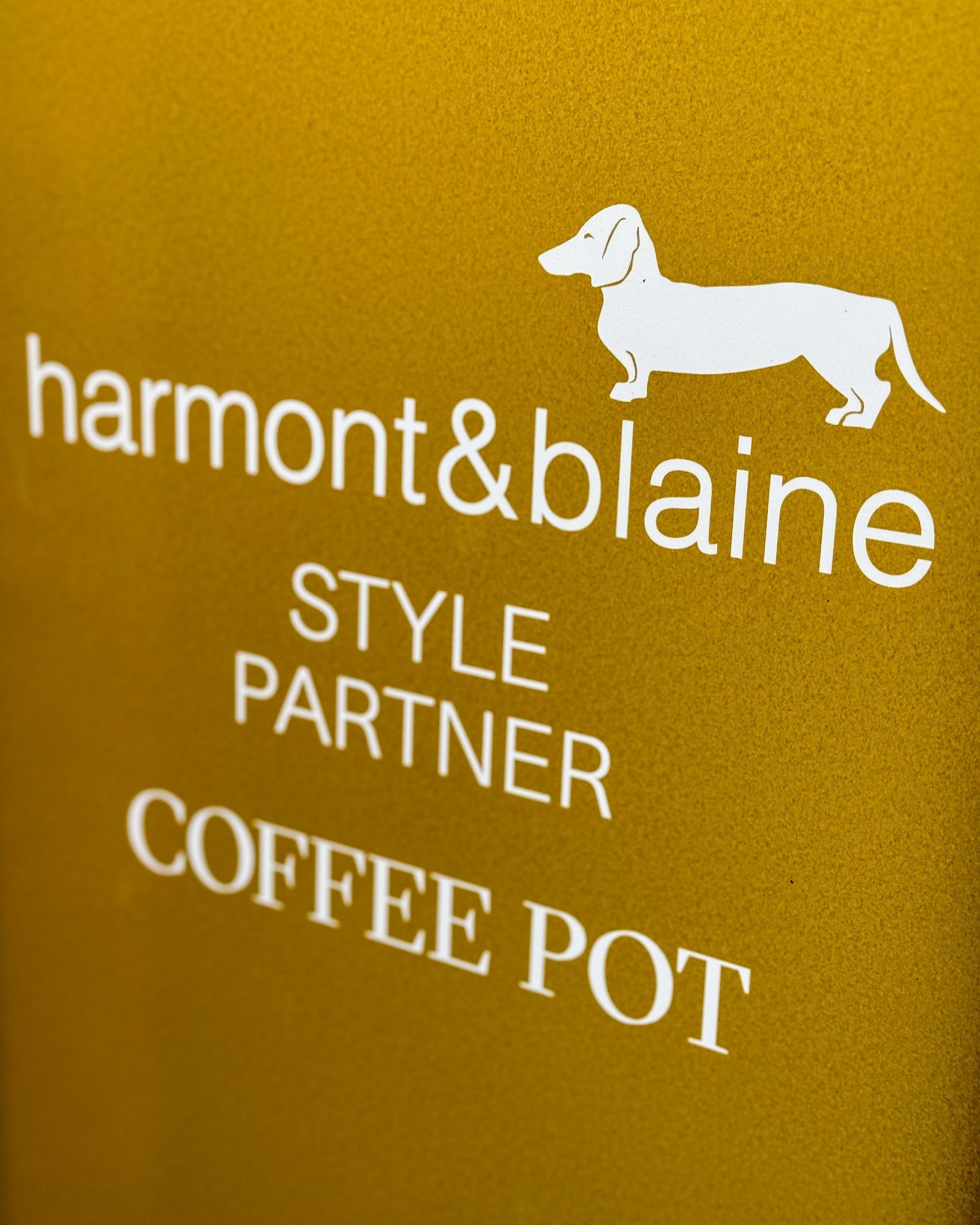 Harmont & Blaine touring Italy's most beautiful beaches Portofino, Forte dei Marmi, Porto Rotondo and Capri provide the backdrop for unforgettable adventures | Image 522355