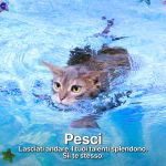 August 2024 horoscope A month full of action, for better or for worse | Image 520383