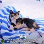 August 2024 horoscope A month full of action, for better or for worse | Image 520382