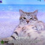 August 2024 horoscope A month full of action, for better or for worse | Image 520392