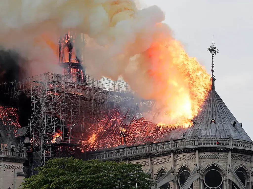 How the opening of Notre Dame will impact Paris tourism The cathedral reopens its doors, a symbol of memory and renewal | Image 544857