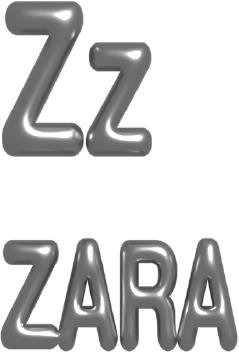 Z_1.webp