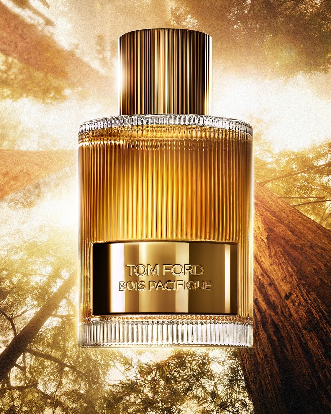 Tom Ford Beauty presents Bois Pacifique And the new campaign starring John David Washington | Image 548146