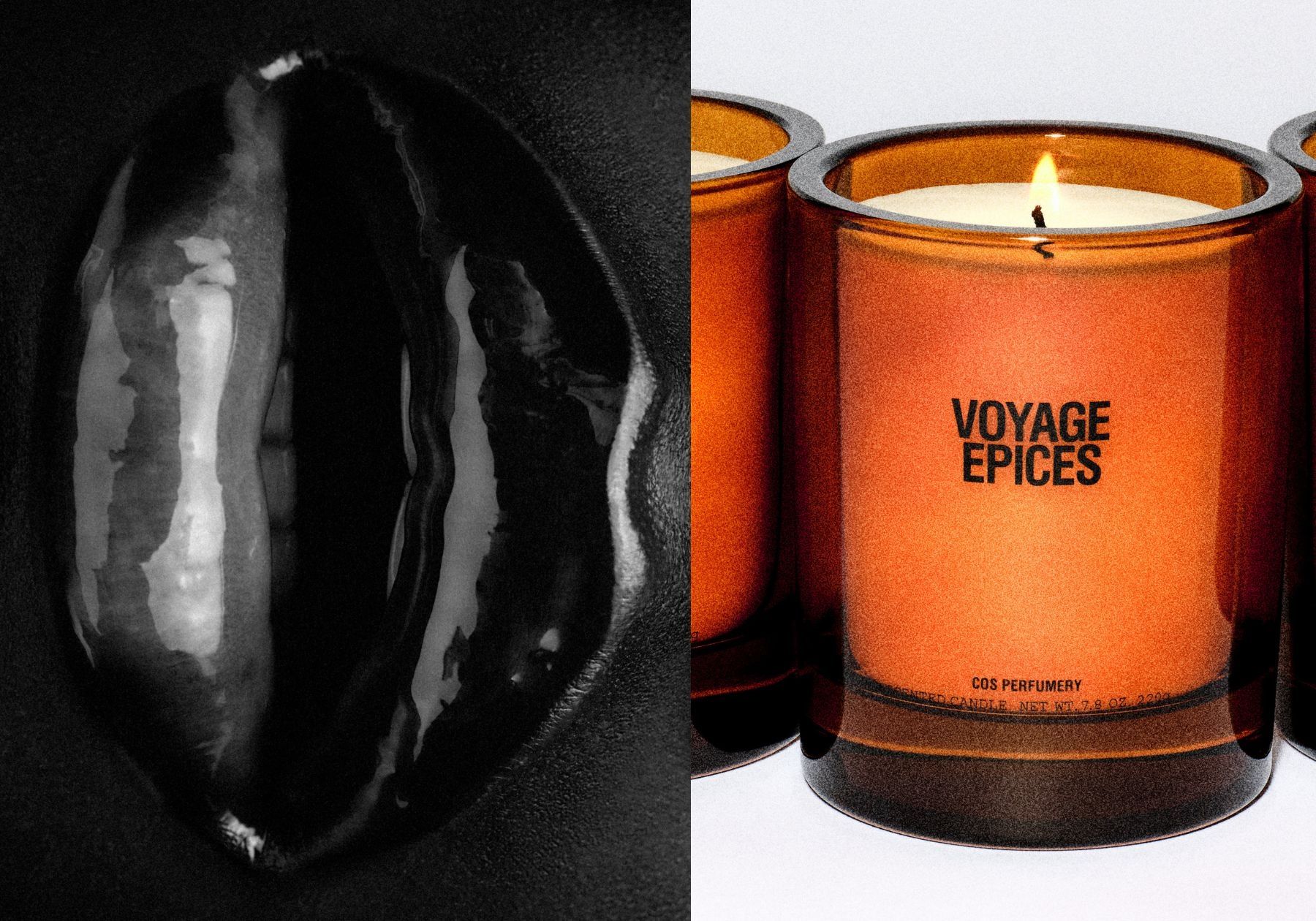 Cos announces Cos Perfumery The brand unveils its first collection of eau de parfum and candles | Image 556986