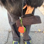 Our dream is the Peggy Gou's collection of bags A bag can make you look cool, but also powerful and self-confident | Image 561348