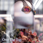Apre a Milano il nuovo store di Oakley Un bunker high-tech a San Babila dove scoprire il passato e il futuro del brand