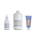 DAVINES - Holiday Kit SU