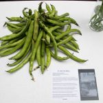 Arianna Ablondi Pedretti: I try to recreate my interpretation of a feminist aesthetic. Interview with the Italian designer who launched a series of meetings at the Libreria delle Donne | Image 567440