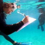 Sea for Tomorrow: BioNike and Worldrise together to protect our sea A collaboration that has lasted for years, but in 2025 it will be even stronger | Image 567968