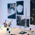 According to Chanel Beauty, research and sustainability go hand in hand On the occasion of the launch of the new Hydra Beauty Micro Serum, we interviewed experts of camellias | Image 569732