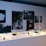 According to Chanel Beauty, research and sustainability go hand in hand On the occasion of the launch of the new Hydra Beauty Micro Serum, we interviewed experts of camellias | Image 569730