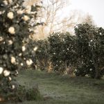 According to Chanel Beauty, research and sustainability go hand in hand On the occasion of the launch of the new Hydra Beauty Micro Serum, we interviewed experts of camellias | Image 569748