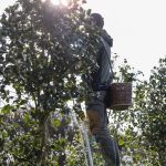 According to Chanel Beauty, research and sustainability go hand in hand On the occasion of the launch of the new Hydra Beauty Micro Serum, we interviewed experts of camellias | Image 569750