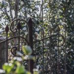 According to Chanel Beauty, research and sustainability go hand in hand On the occasion of the launch of the new Hydra Beauty Micro Serum, we interviewed experts of camellias | Image 569749