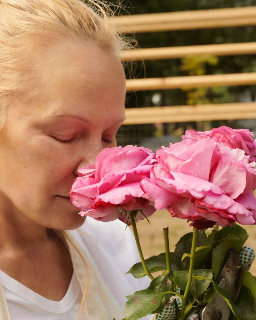 All the benefits of the rose An ingredient that is both elegant and effective, yet delicate on the skin