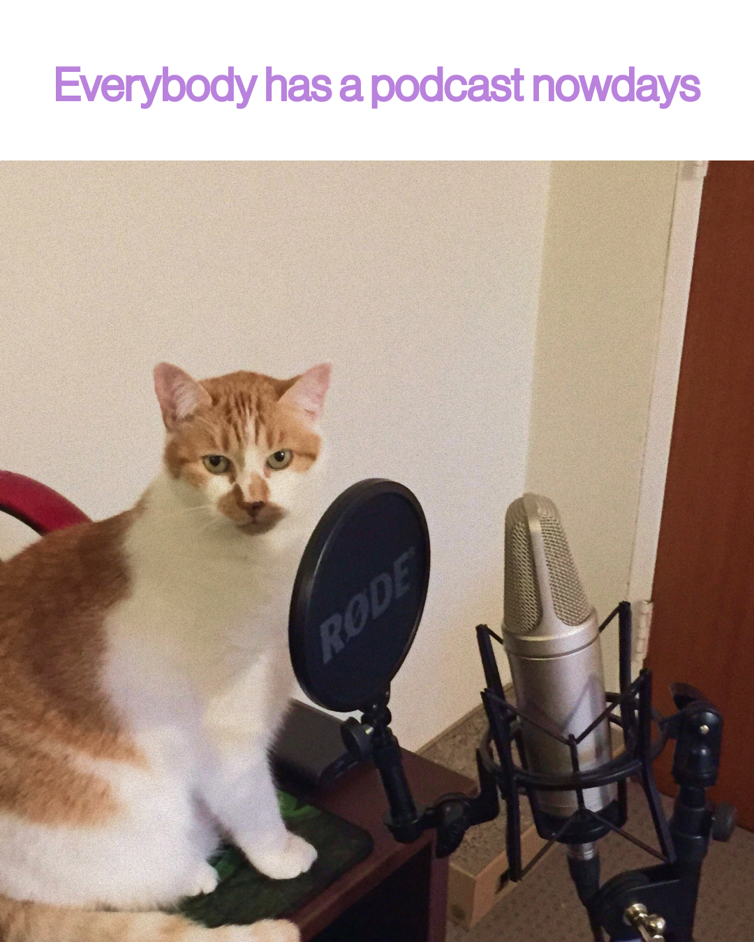 It is not mandatory to launch a podcast Why does everyone put themselves in the position to speak if they have nothing to say?