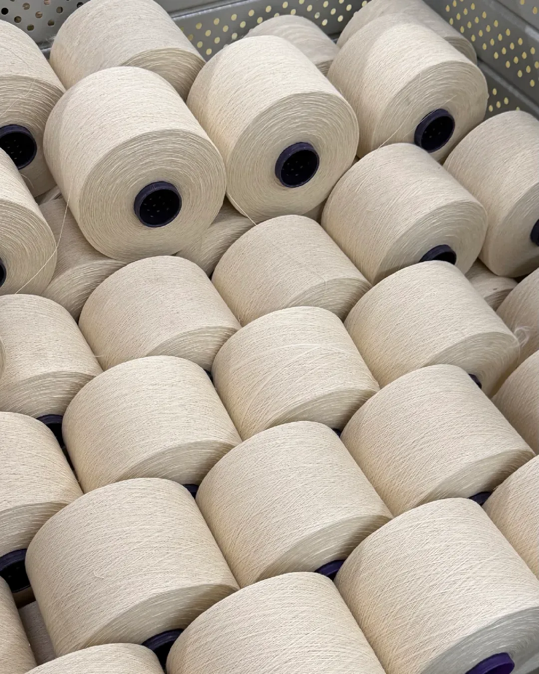 TRC 2038: Tradition, Innovation, and Passion in Italian Textiles A new story born from the union of two textile excellences: Candiani and Grassi