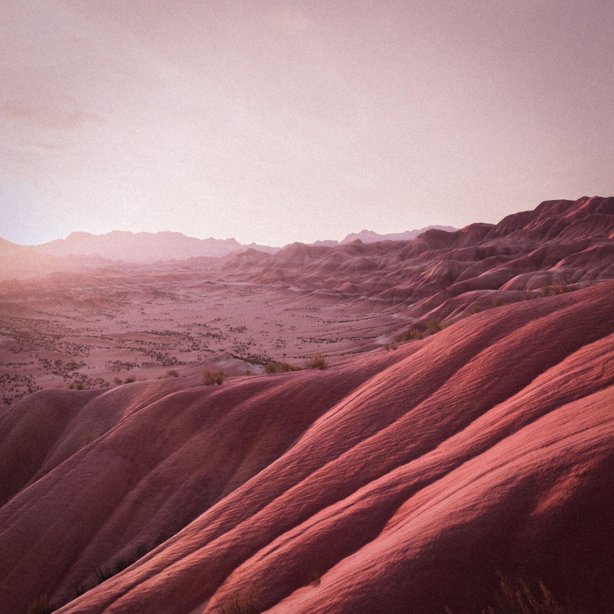 Frama launches Painted Desert The latest addition to the Danish brand universe | Image 580278