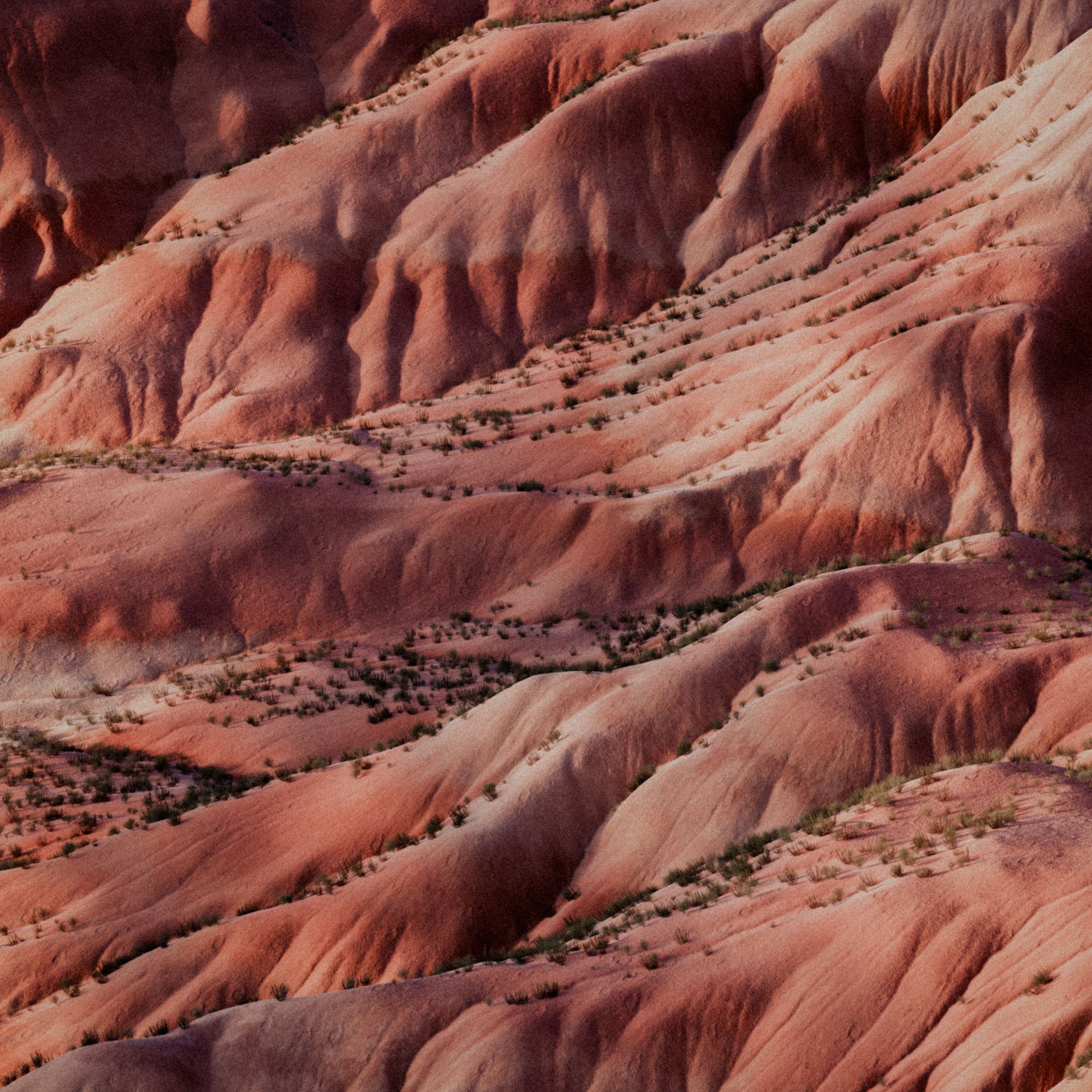 Frama launches Painted Desert The latest addition to the Danish brand universe | Image 580274