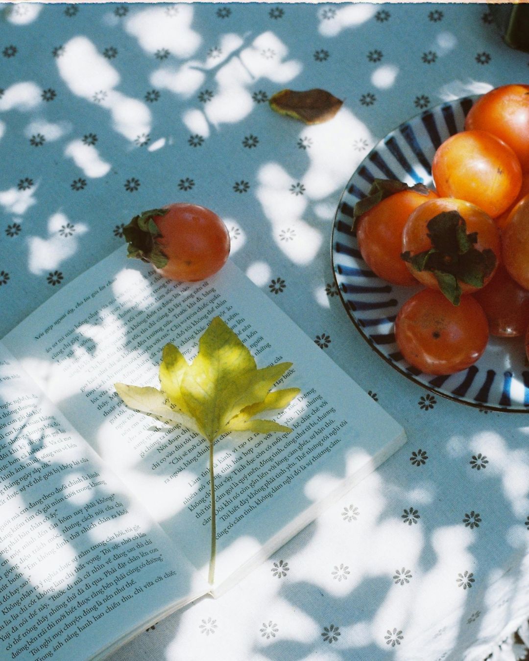 The tarot cards of the Autumn Equinox 2025 A spread with three cards with rituals for a cozy and slightly magical autumn