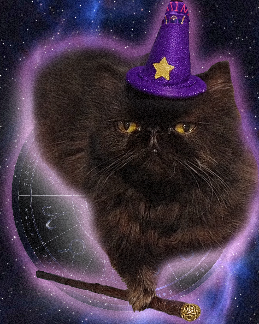 The horoscope of October 2025 The main transitions of the month and what to expect for each zodiac sign