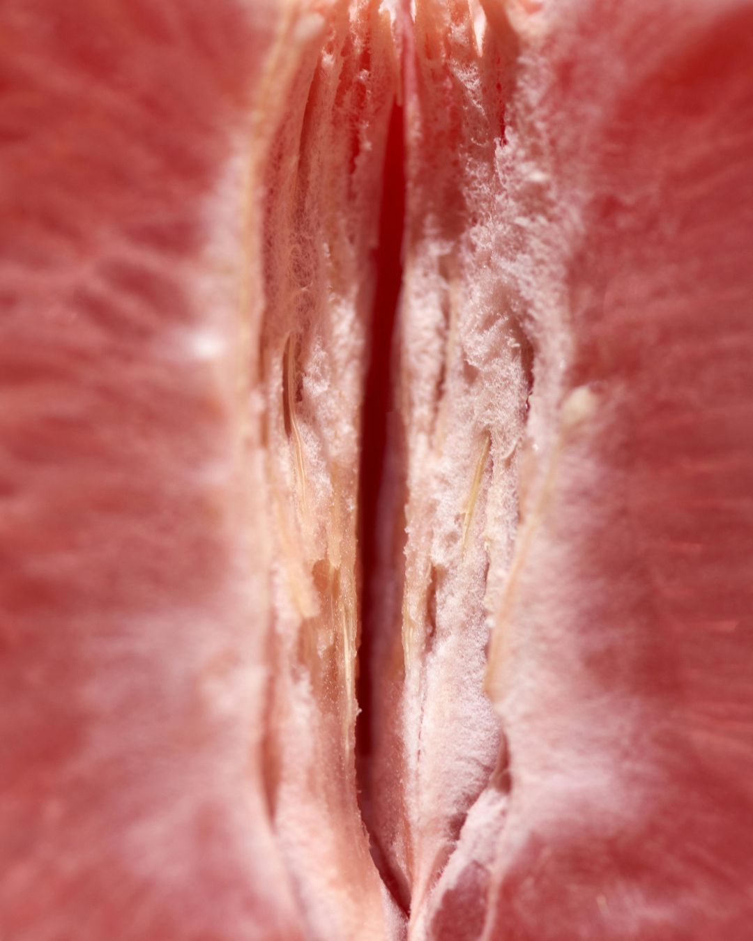 Porn and ethics: talking about it is not a sin Have you ever thought about all the ways in which pornography influences society?