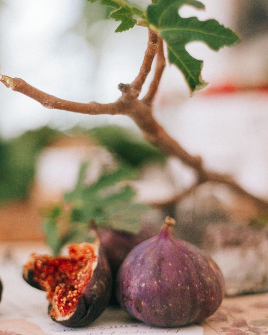 Abbiamo paura di scegliere, o il paradosso del fico di Sylvia Plath Gli esperti la chiamano decision paralysis: c’entra la tecnologia, ma non solo