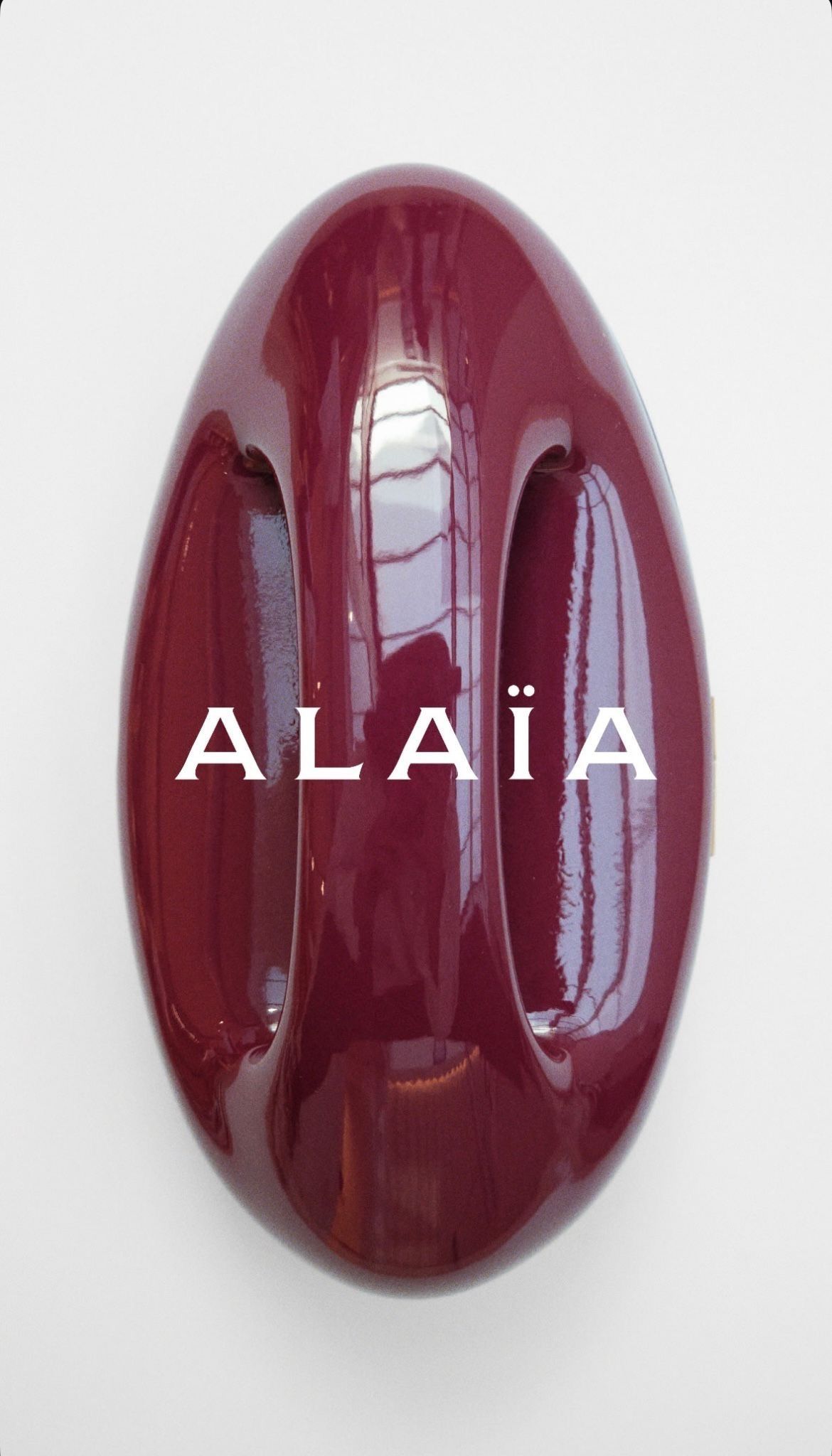 Les véritables stars de la SS26 d’Alaïa étaient ses sacs Quand l'impression en 3D futuriste rencontre les années 60 de Lucio Fontana | Image 586468