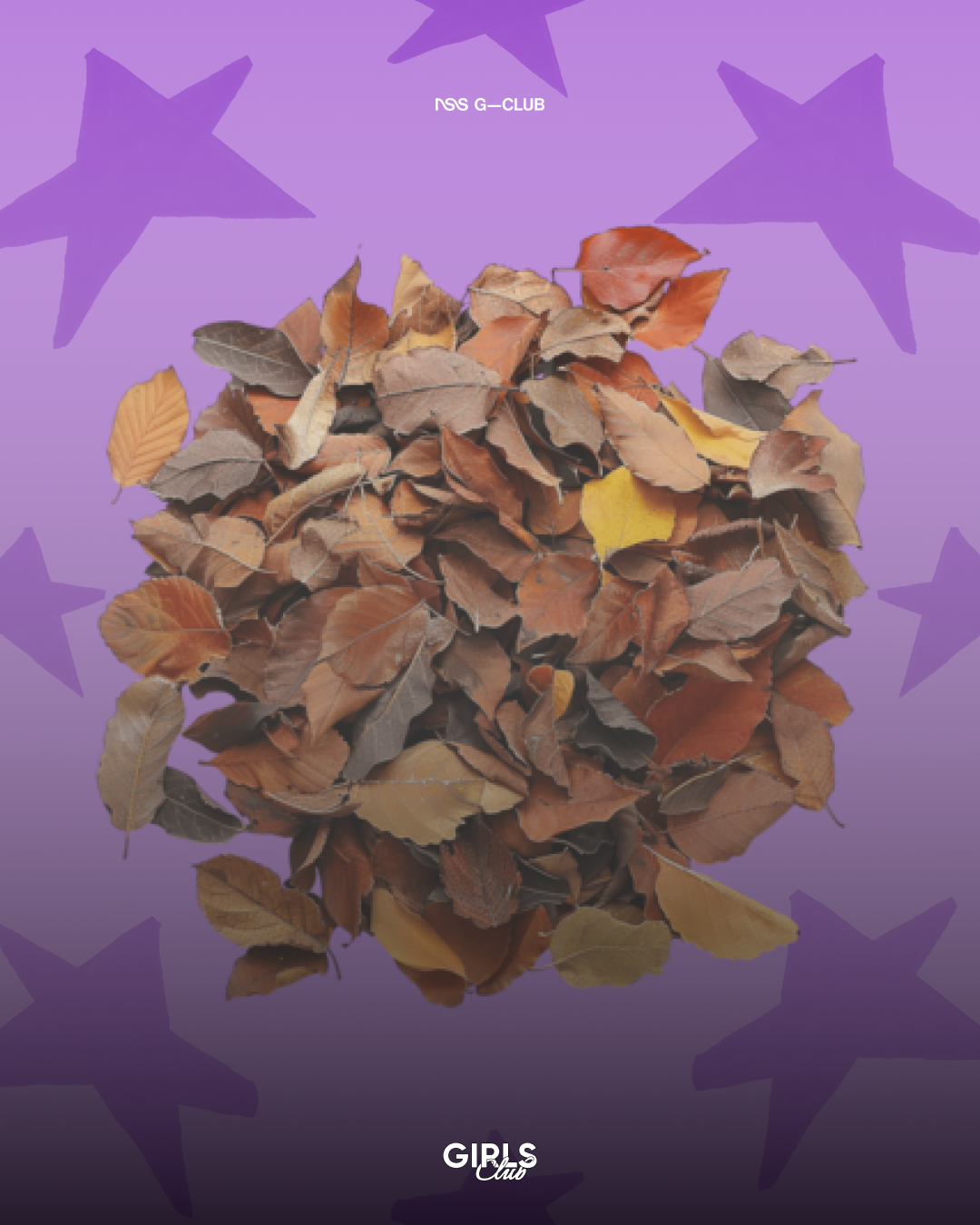 The perfect autumn activity for every zodiac sign From the armchair to trekking, to fully enjoy the season, even after Halloween