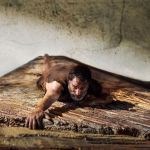 Jean Dujardin gets smaller and smaller in The Shrinking Man The movie is a remake of the 1957 science fiction film The Incredible Shrinking Man