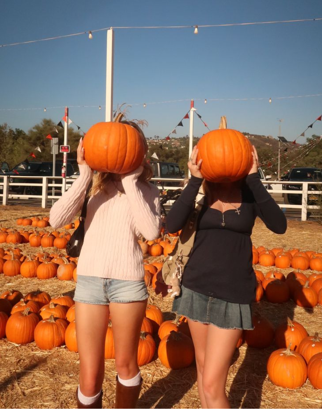 How did pumpkins become so Instagrammable? Their market is booming, thanks in part to a series of initiatives that go far beyond the kitchen