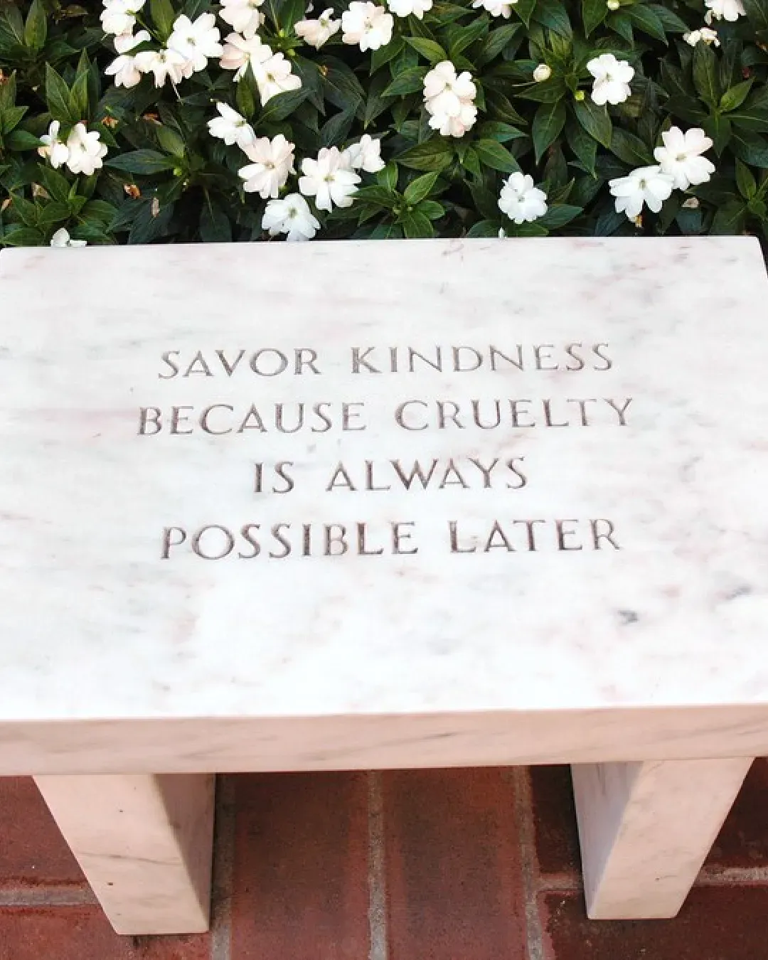 Is it really true that kind people earn less?  Power, perception, and the mirage of a gentle future