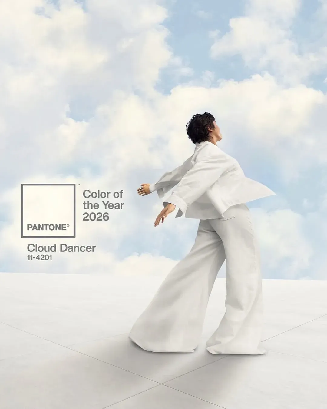 Perché internet ce l'ha con Pantone Il bianco che secondo l'azienda definirà il 2026 ha acceso una bella controversia