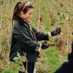 Moët & Chandon organizes the fifth edition of Biodiversity Days Celebrating ten years of UNESCO Champagne with new plantings and a collective commitment to biodiversity