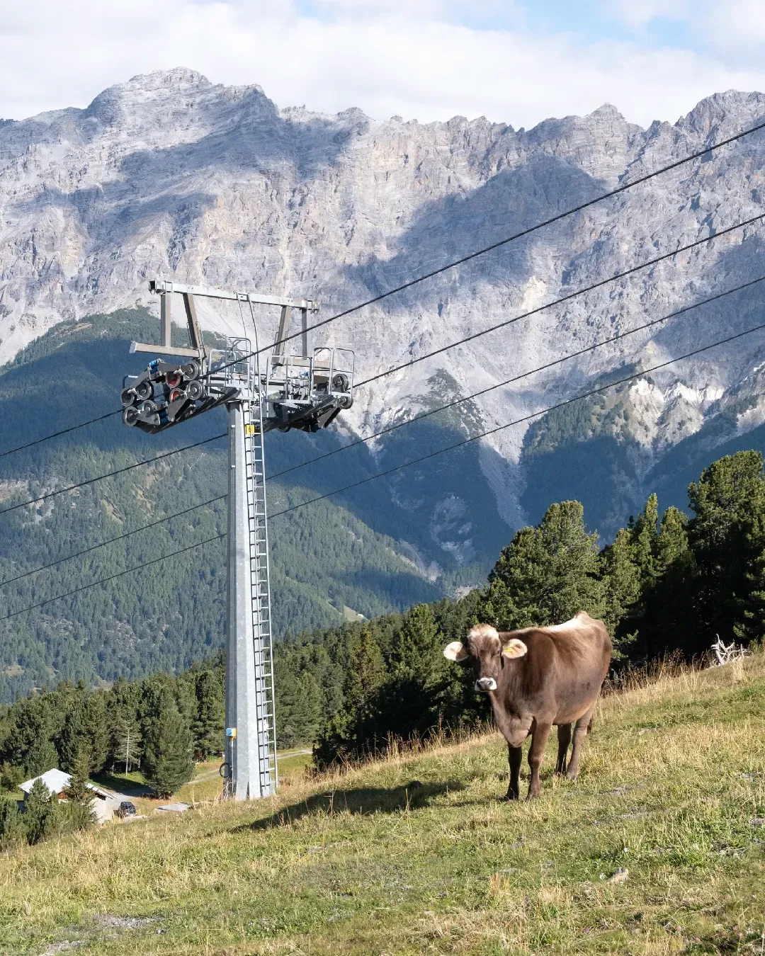 Le Olimpiadi Milano Cortina 2026 rovineranno la montagna per tutti?  Intervista a Beatrice Citterio, fondatrice di Giochi Preziosi