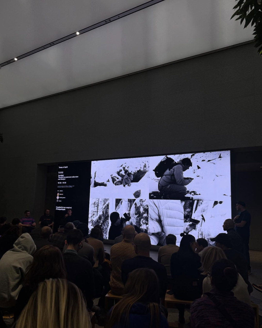 Apple ha presentato la soundscape dello store di Piazza Liberty Suoni della natura dell'alta quota che incontrano la frenesia della città