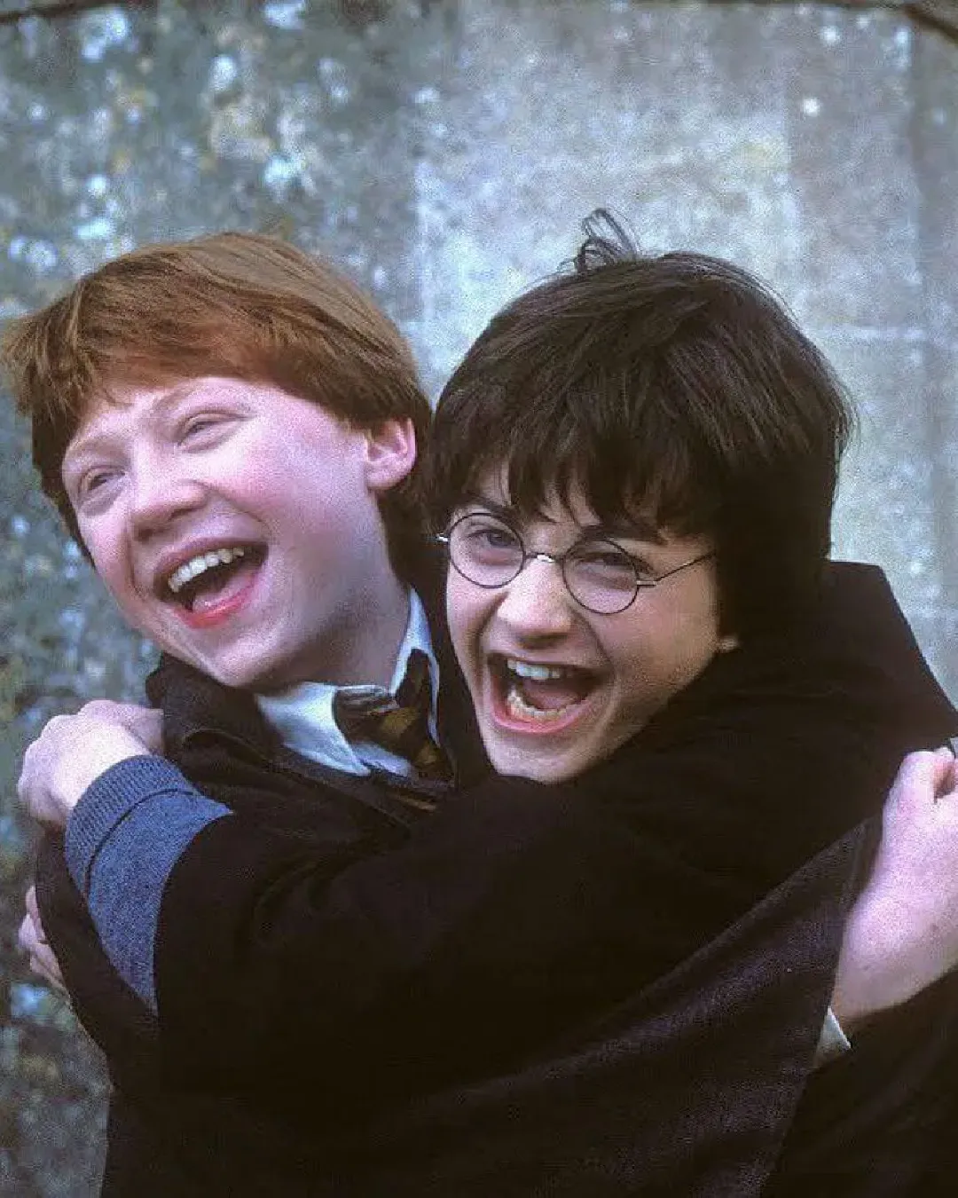 Harry Potter è davvero così politico?  Quando una saga educa un'intera generazione