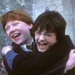 Is Harry Potter really that political?  When a saga educates an entire generation