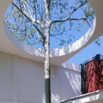 City Guide for creatives in Bologna  Five places to discover the city beyond tourist stereotypes