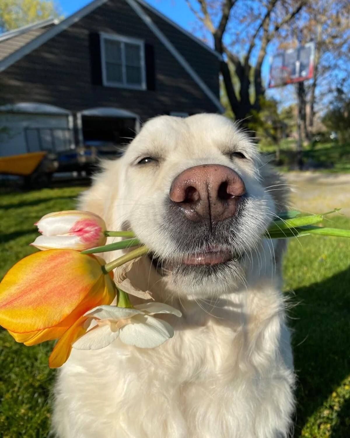 Happiness is a political act, we talk about it with Giulia Blasi Why personal wellbeing is inseparable from politics, society, and collective responsibility