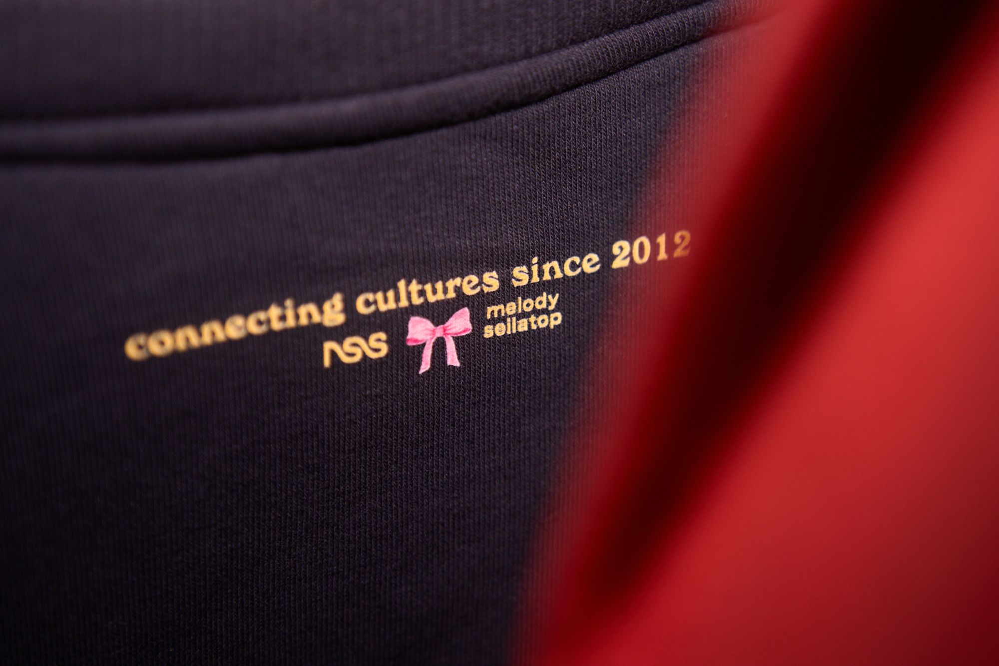 This is what you missed at Sanremelody 2026 At Bar Doria we sang Sanremo with mymelodyseilatop | Image 606040