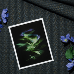 Kvadrat arrives at Salone del Mobile 2026 With three Installations that intertwine textile research, art and design