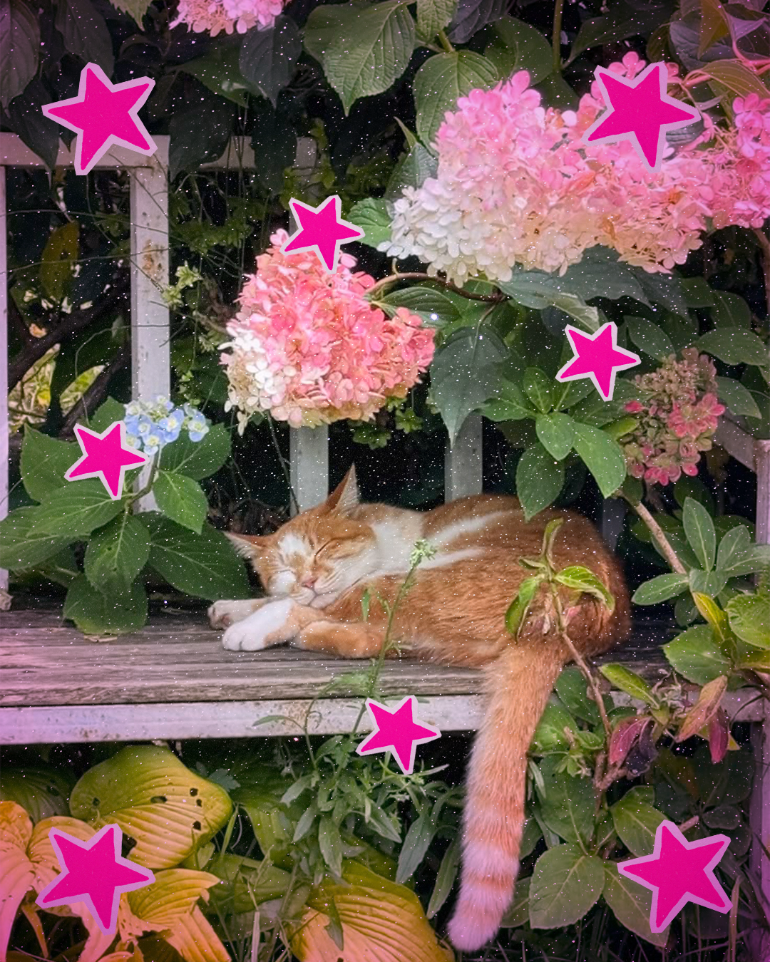 L'Equinozio di Primavera è finalmente qui Lo aspettavamo tutti, effetti e significato di questo momento