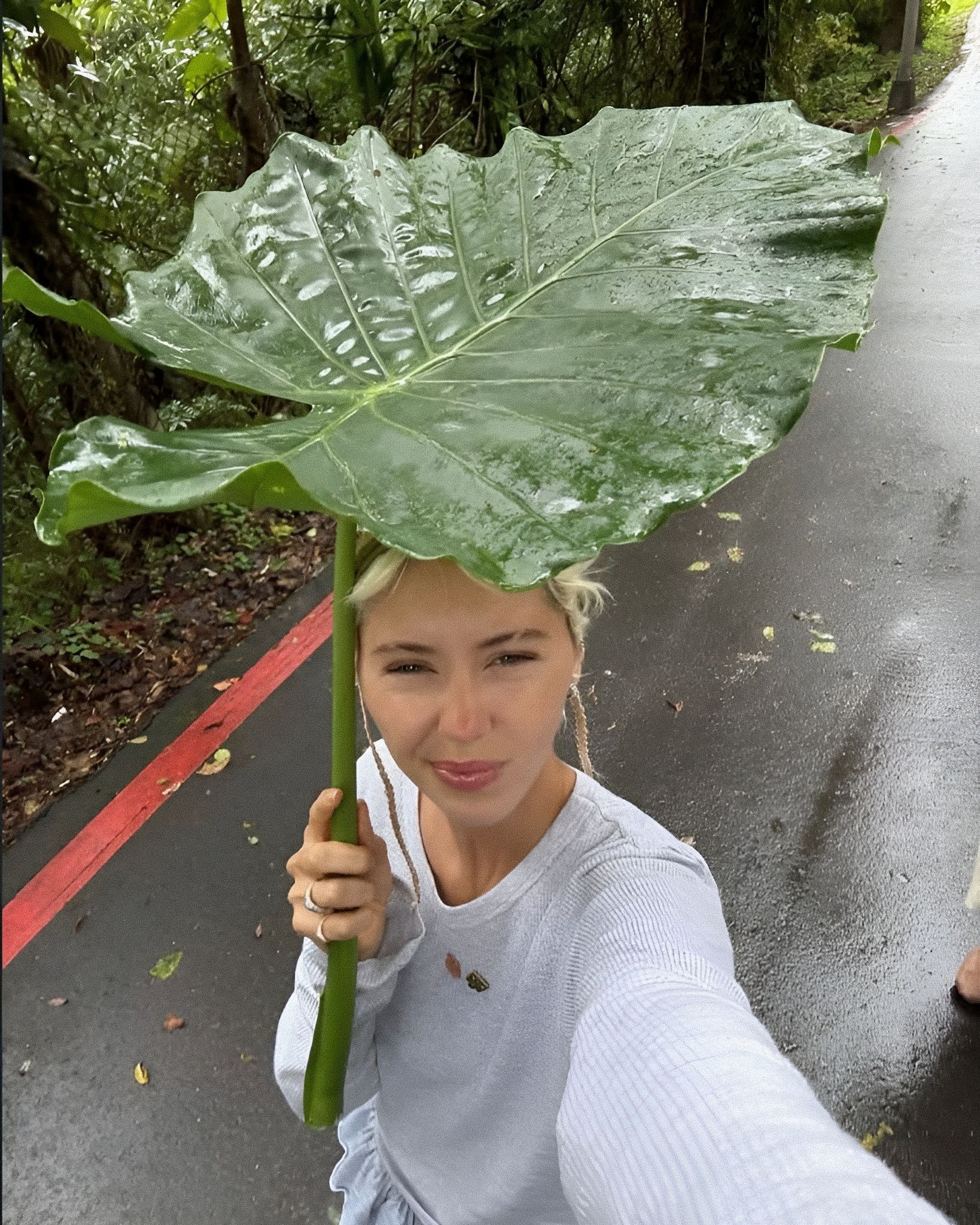 I profumi alle note verdi che amiamo Dall'erba fresca con gocce di rugiada alle note aromatiche di basilico e timo