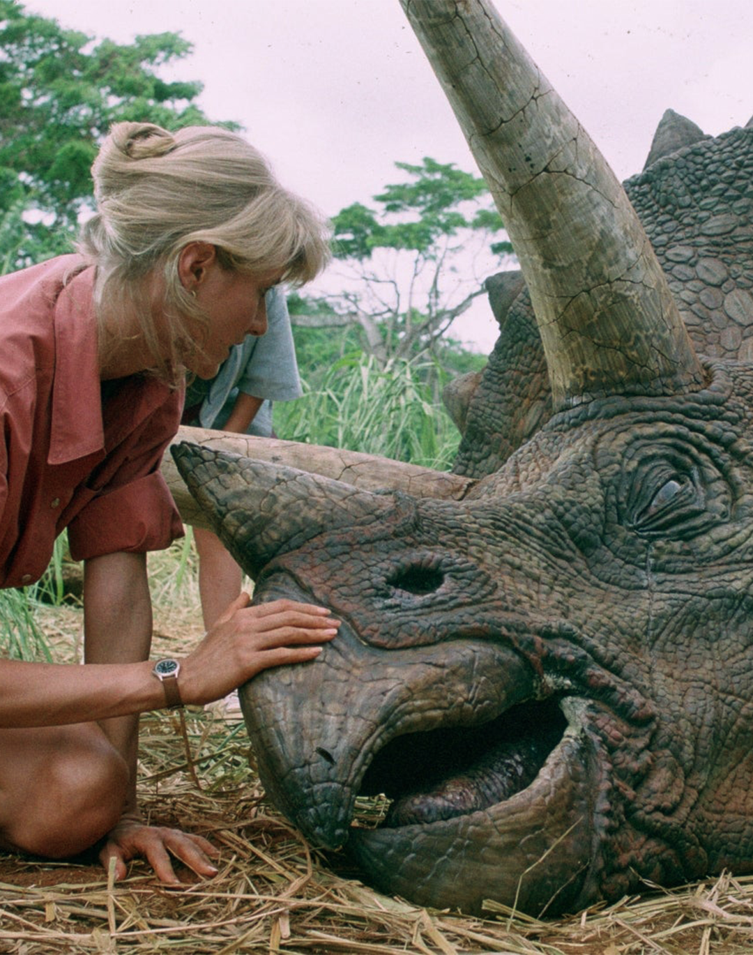 The rich are bidding for dinosaurs The case of Trey, the Triceratops worth $5.5 million