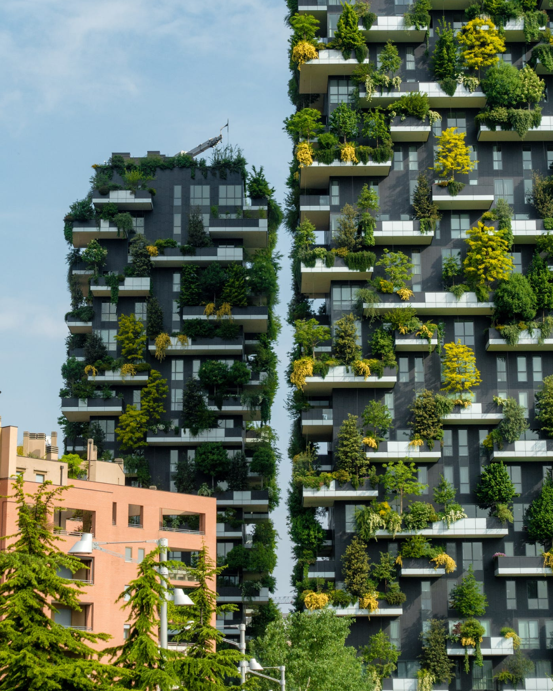 Il futuro del design è rigenerativo «Il punto di partenza è culturale», intervista a Thomas Miorin, amministratore delegato di EDERA