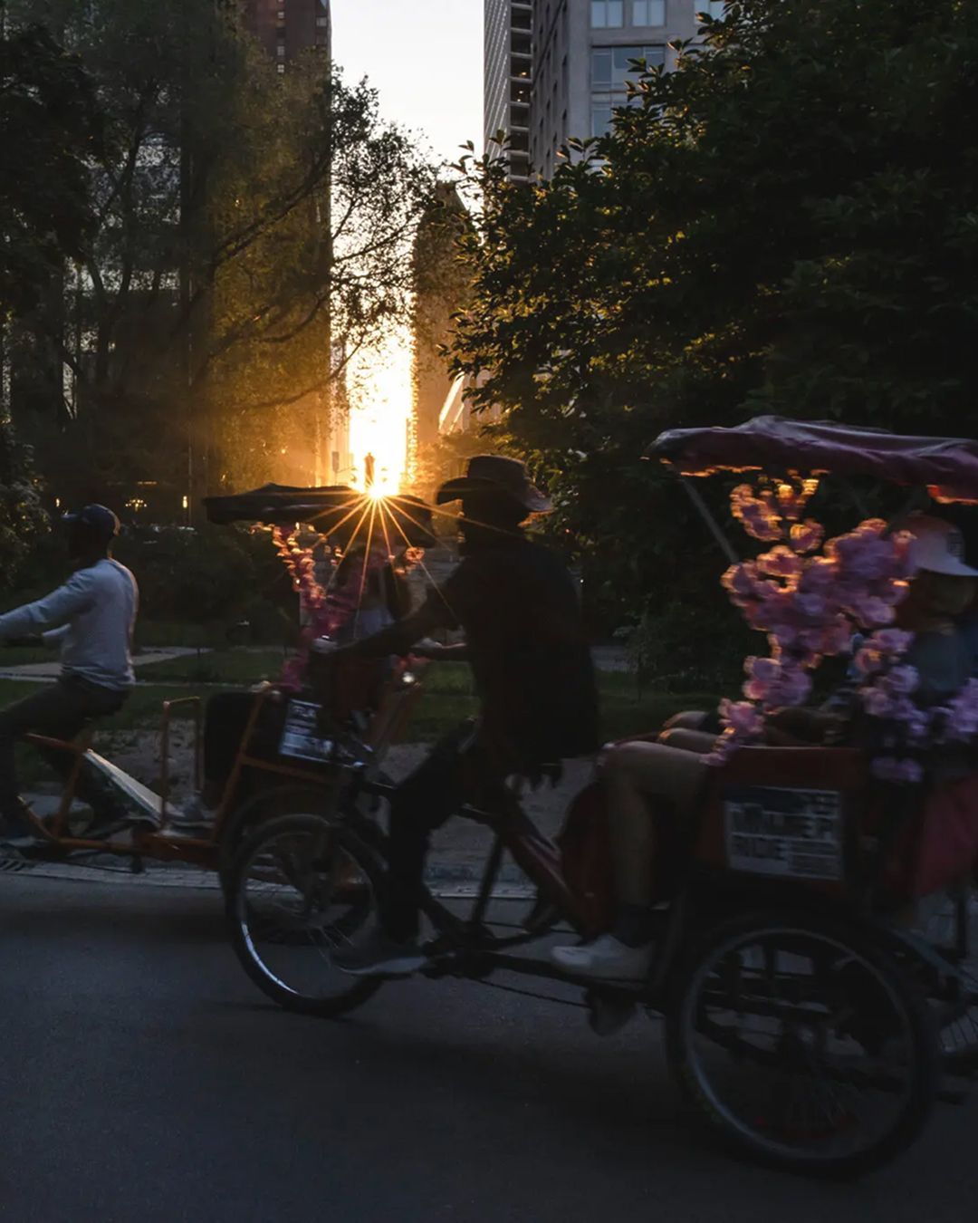 How can cities combat heat? There are several solutions to reduce the heat island effect