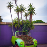 Guerrilla gardening is a gentle protest Planting without permission is not only about greenery, but about who has the right to transform the city