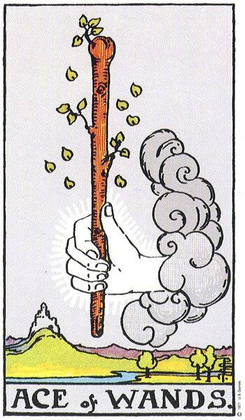 I tarocchi del Solstizio d'Estate 2026 Carte e rituali per illuminare, proteggere e osare | Image 621957
