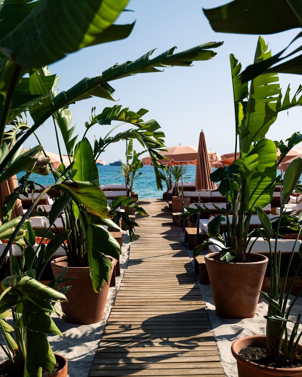 Il Liu Jo Summer Club sbarca a Cannes Dopo Taormina tocca alla costa francese | Image 622204